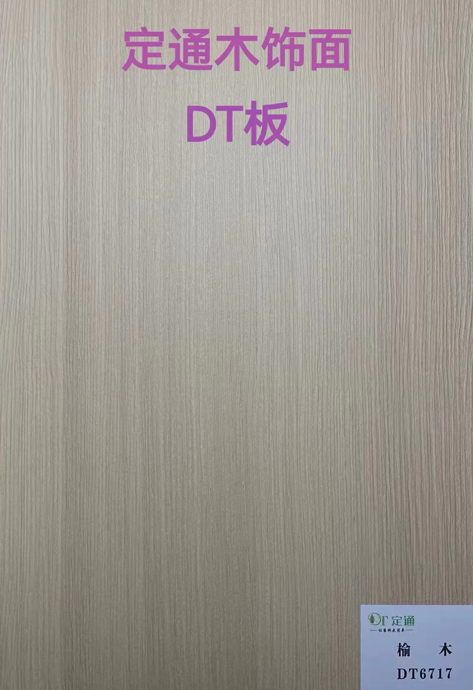 DT6717榆木